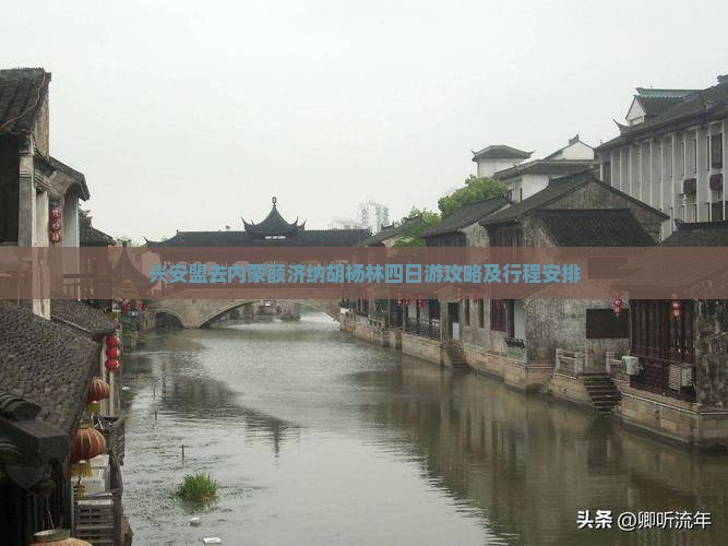 兴安盟去内蒙额济纳胡杨林四日游