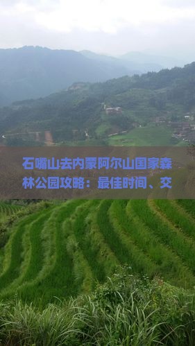 石嘴山去内蒙阿尔山国家森林公园攻略