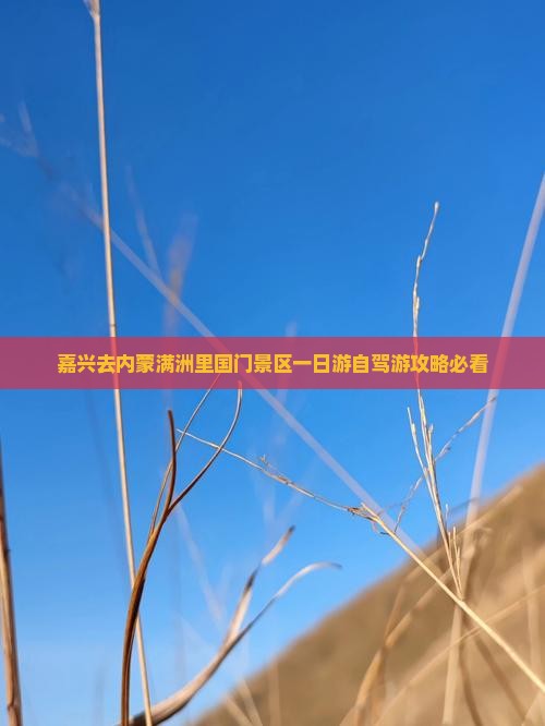 嘉兴去内蒙满洲里国门景区一日游