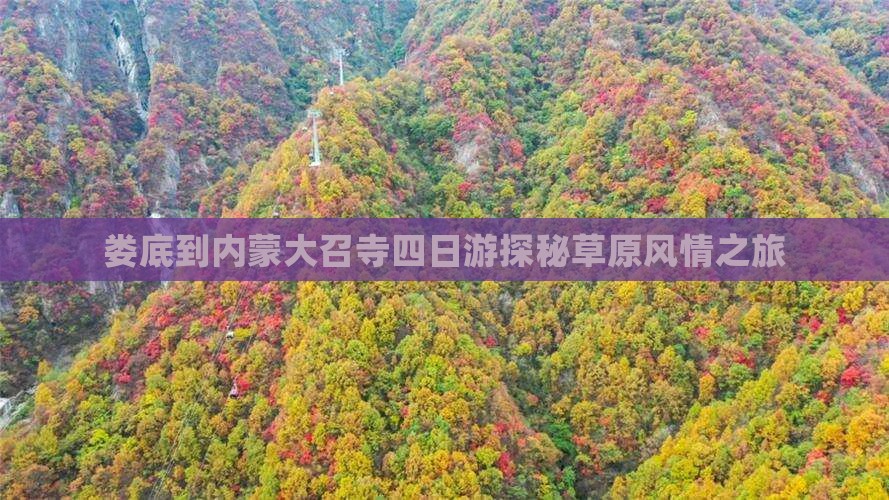 娄底到内蒙大召寺四日游