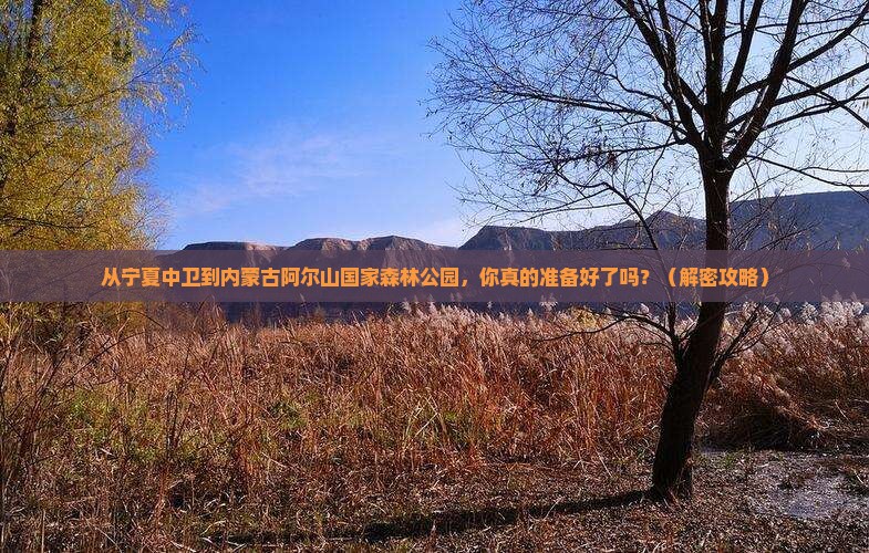 中卫去内蒙阿尔山国家森林公园攻略