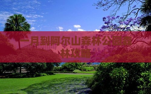 一月到内蒙阿尔山国家森林公园景点