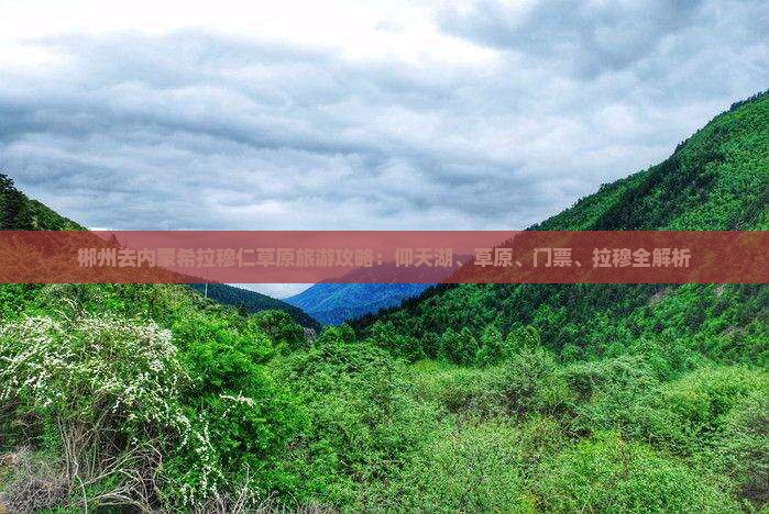 郴州去内蒙希拉穆仁草原门票