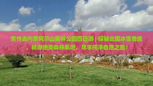 焦作去内蒙阿尔山国家森林公园四日游