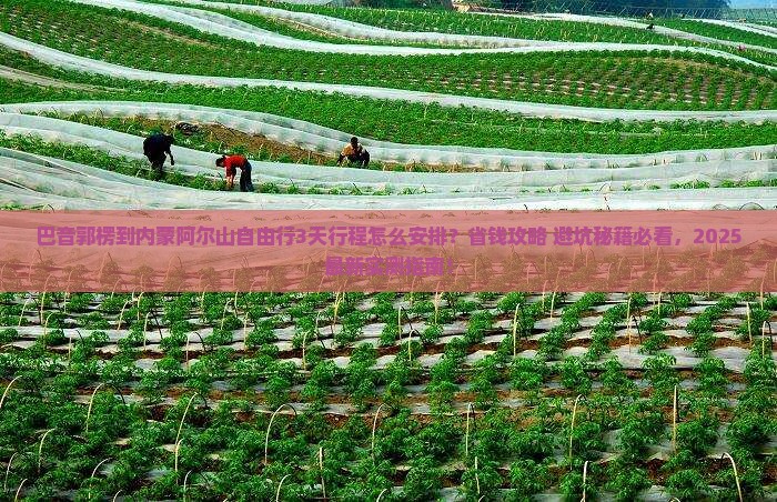 巴音郭楞到内蒙阿尔山国家森林公园自由行