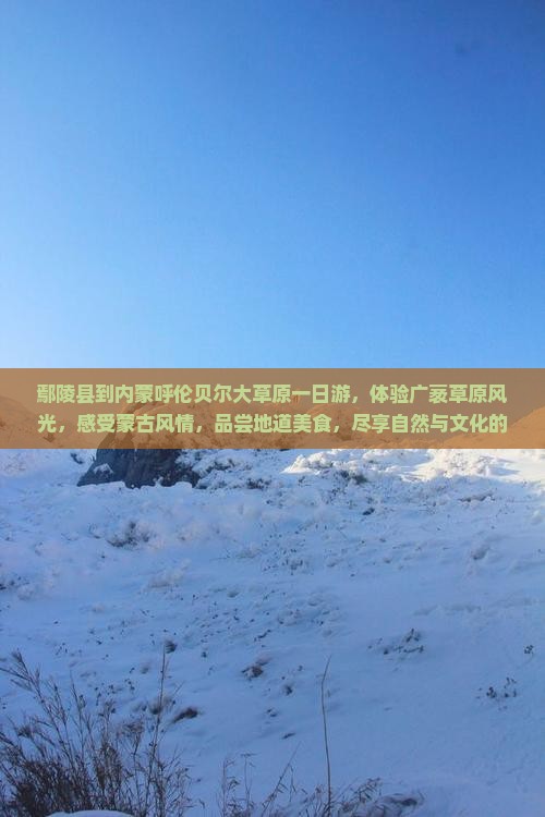 鄢陵县到内蒙呼伦贝尔大草原一日游