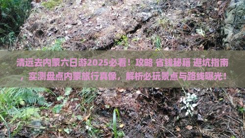 清远去内蒙六日游