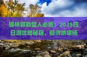 锡林郭勒盟去内蒙额济纳胡杨林四日游