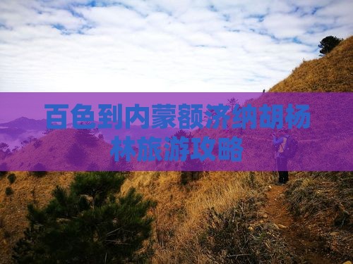 百色到内蒙额济纳胡杨林哪里玩