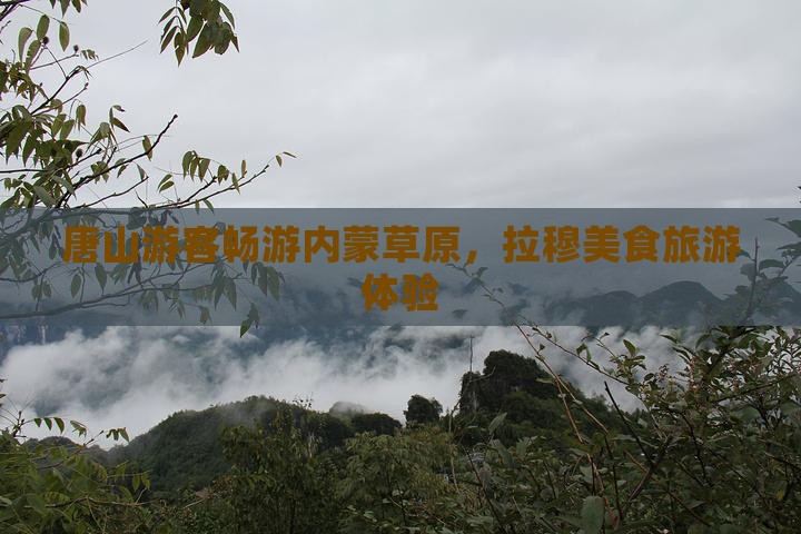 唐山去内蒙希拉穆仁草原旅游小吃