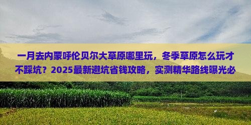 一月去内蒙呼伦贝尔大草原哪里玩