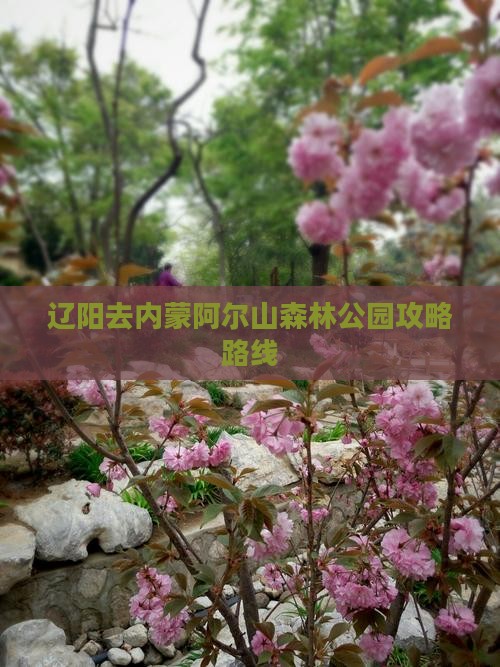 辽阳去内蒙阿尔山国家森林公园攻略