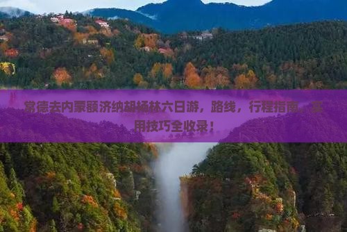 常德去内蒙额济纳胡杨林六日游