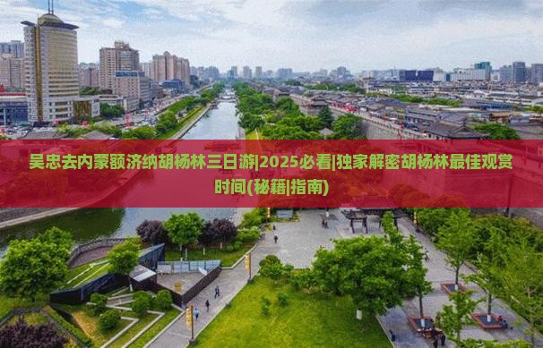 吴忠去内蒙额济纳胡杨林三日游 吴忠去内蒙额济纳胡杨林三日游