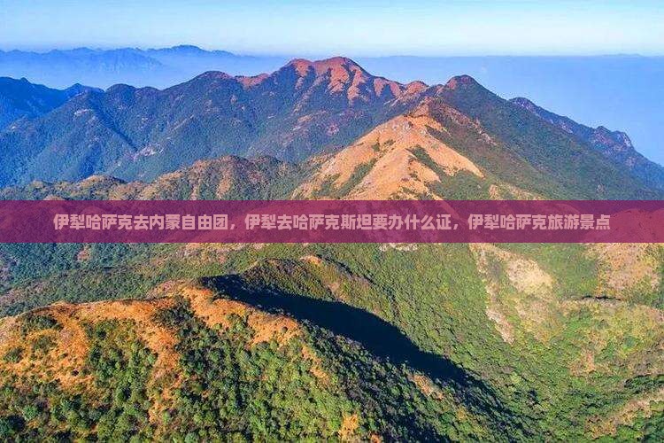 伊犁哈萨克去内蒙自由团