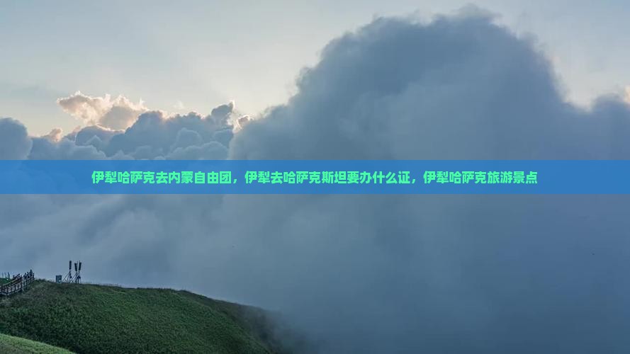 伊犁哈萨克去内蒙自由团