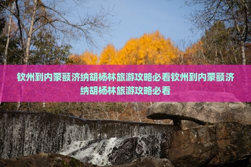 钦州到内蒙额济纳胡杨林旅游