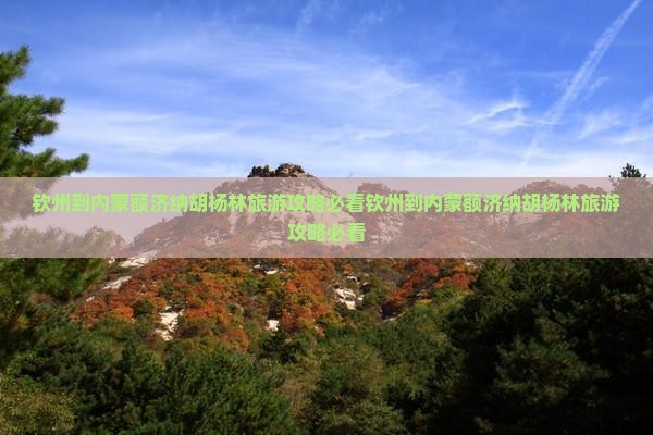钦州到内蒙额济纳胡杨林旅游
