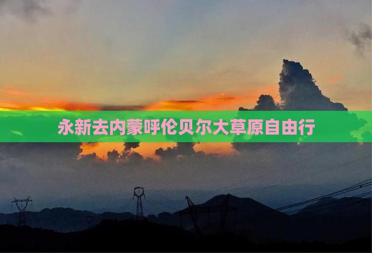 永新去内蒙呼伦贝尔大草原自由行