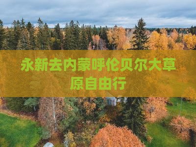 永新去内蒙呼伦贝尔大草原自由行