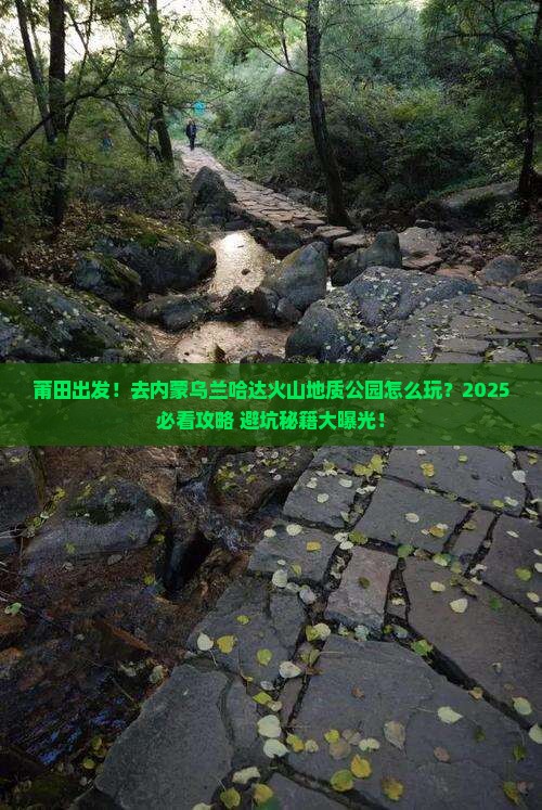 莆田去内蒙乌兰哈达火山地质公园旅行社