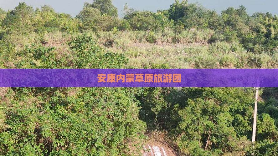 安康去内蒙团体旅游