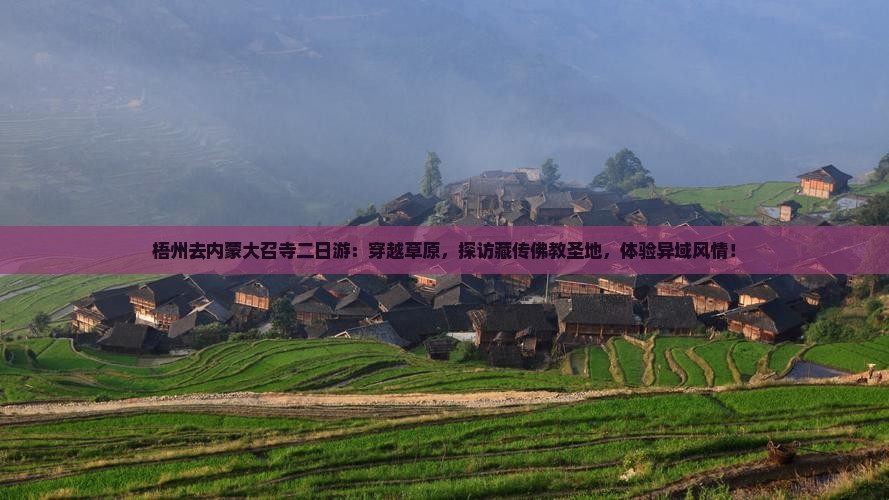 梧州去内蒙大召寺二日游