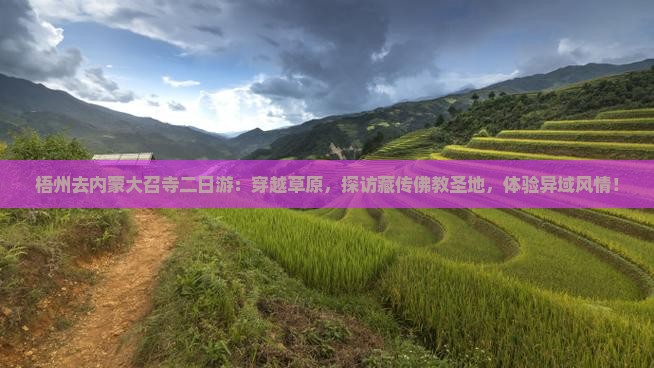 梧州去内蒙大召寺二日游