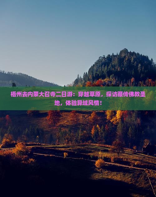 梧州去内蒙大召寺二日游