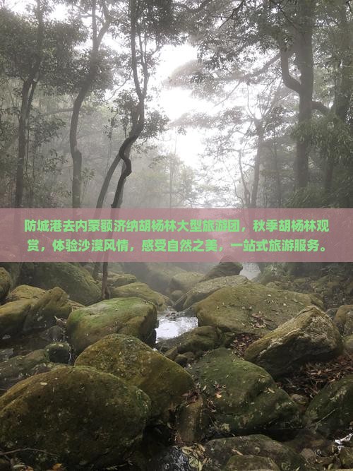 防城港去内蒙额济纳胡杨林大型旅游团