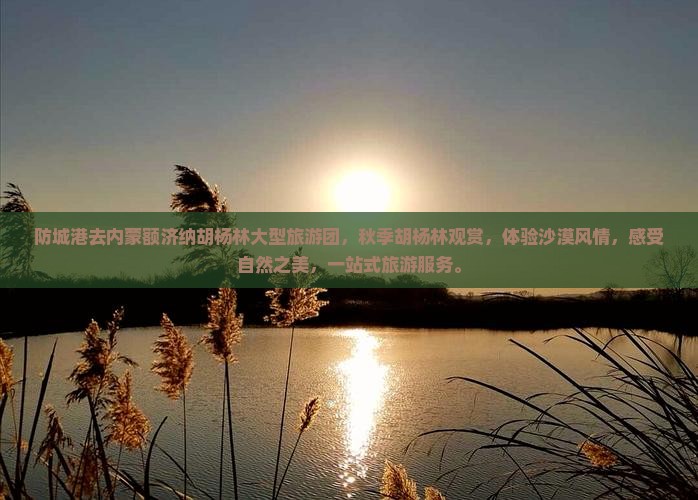 防城港去内蒙额济纳胡杨林大型旅游团