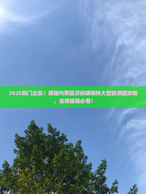 荆门去内蒙额济纳胡杨林大型旅游团