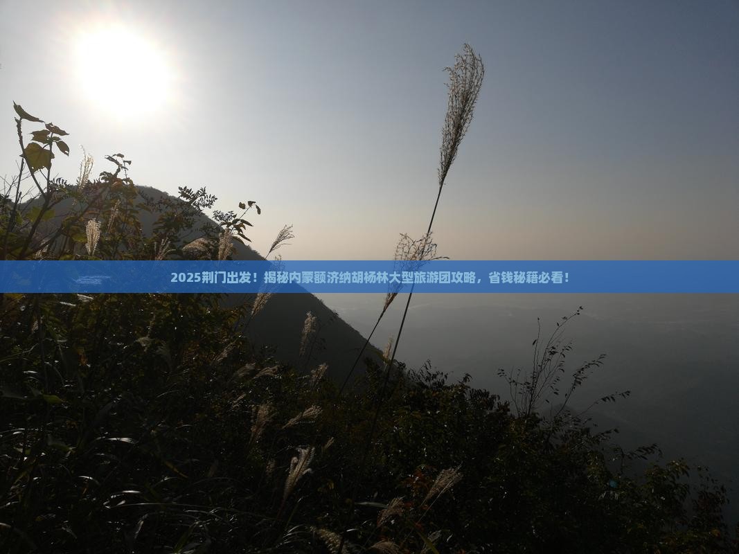 荆门去内蒙额济纳胡杨林大型旅游团