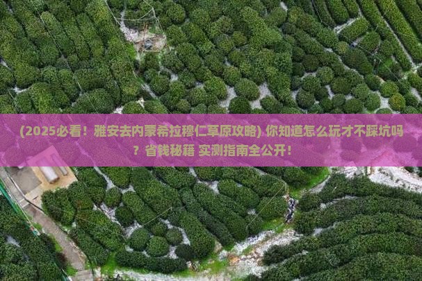 雅安去内蒙希拉穆仁草原景点