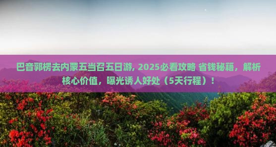 巴音郭楞去内蒙五当召五日游