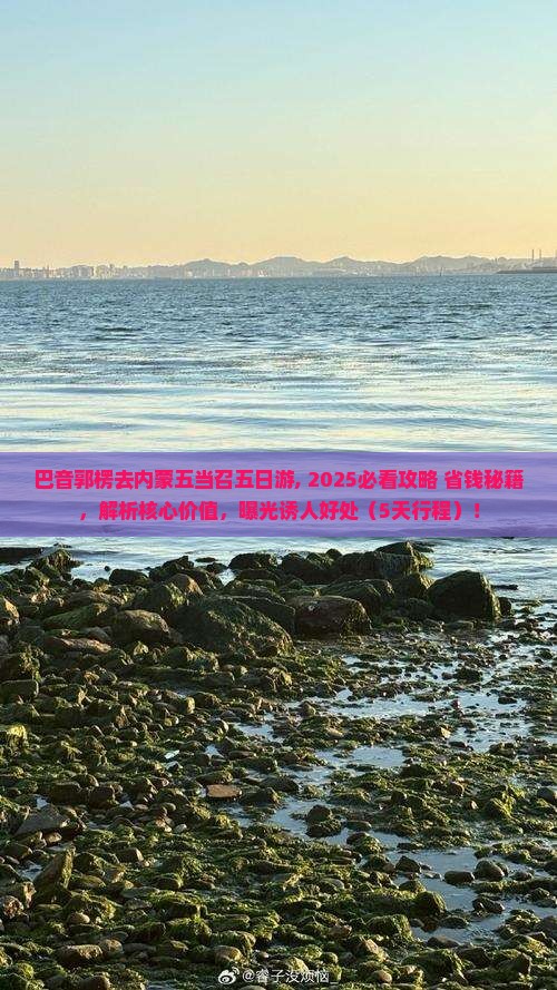 巴音郭楞去内蒙五当召五日游