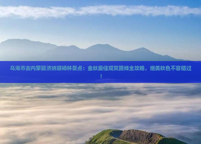 乌海市去内蒙额济纳胡杨林景点