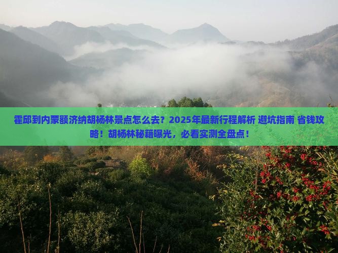 霍邱到内蒙额济纳胡杨林景点