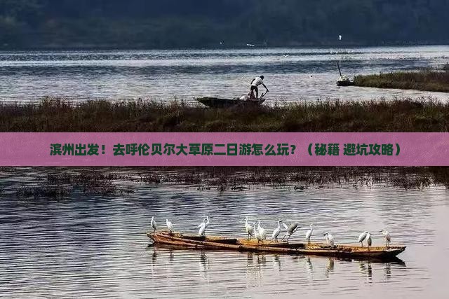 滨州到内蒙呼伦贝尔大草原二日游