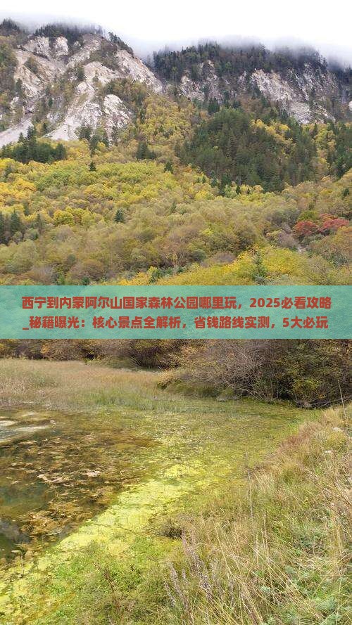 西宁到内蒙阿尔山国家森林公园哪里玩