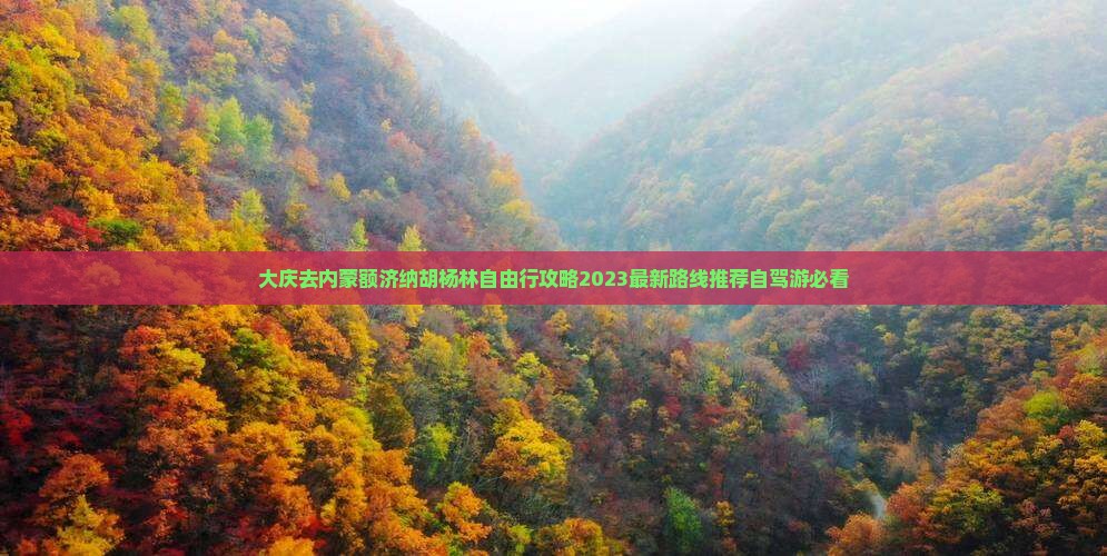 大庆去内蒙额济纳胡杨林自由行