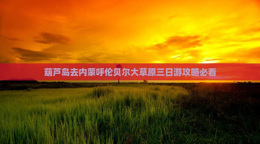 葫芦岛去内蒙呼伦贝尔大草原三日游