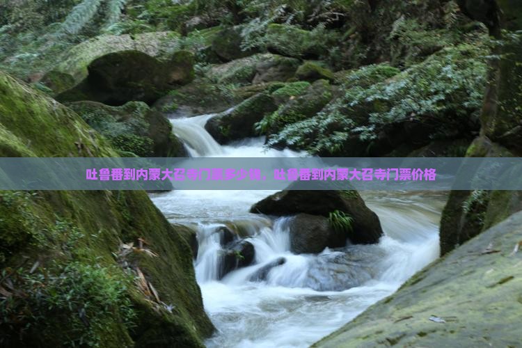吐鲁番到内蒙大召寺门票