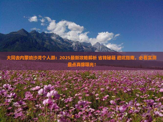 大同去内蒙响沙湾个人游