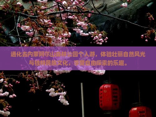 通化去内蒙阿尔山国家森林公园个人游