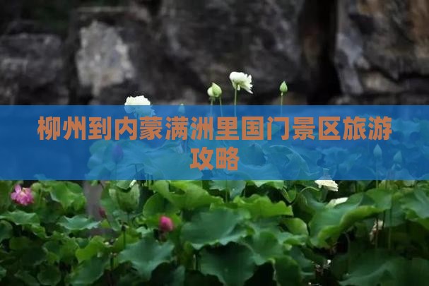 柳州去内蒙满洲里国门景区大型旅游团
