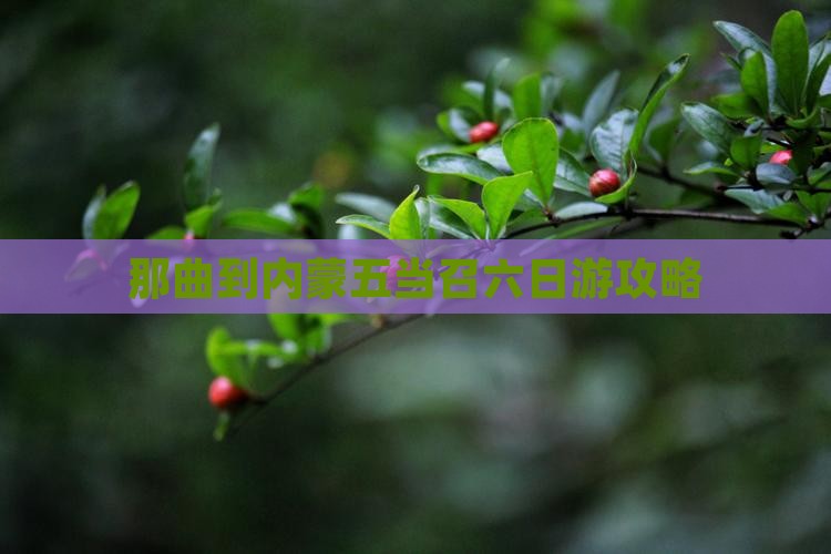 那曲到内蒙五当召六日游