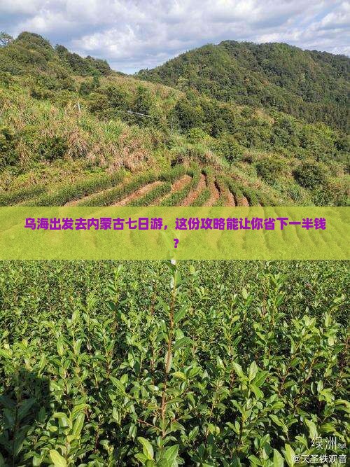 乌海去内蒙七日游