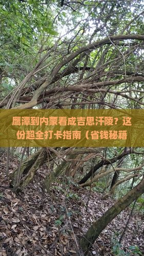 鹰潭到内蒙成吉思汗陵必去地