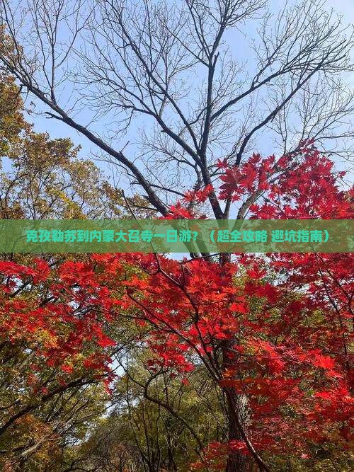克孜勒苏去内蒙大召寺一日游